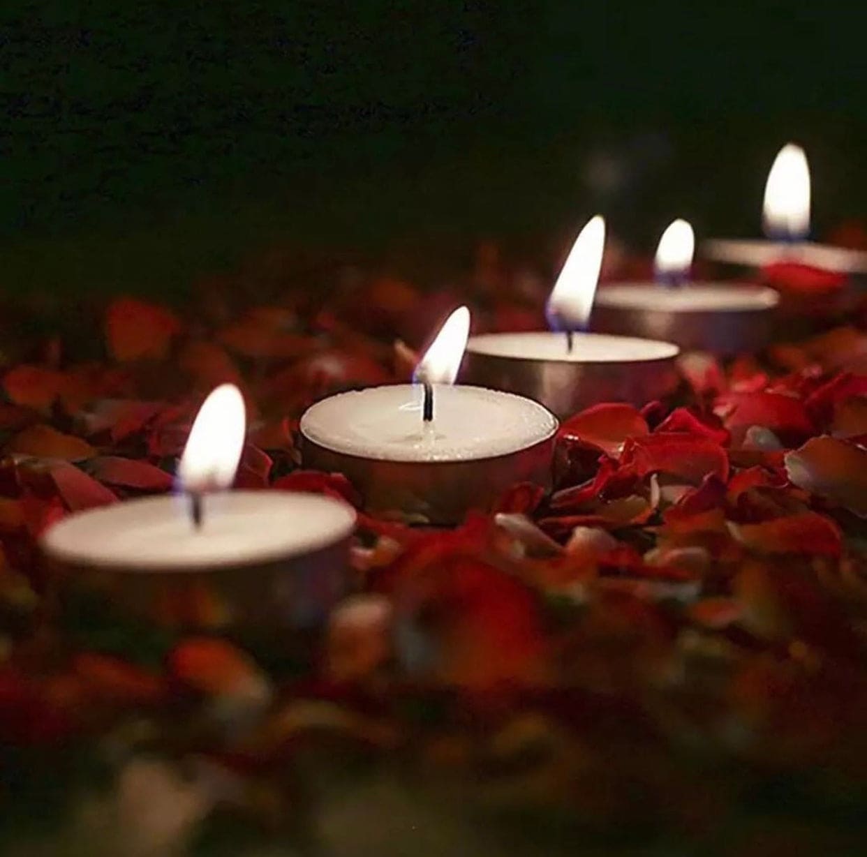 Set of 18 Pcs Mini Tealight Candle, Stonebriar Long Burning Tea Light Candles Premium Smokeless Candle Burner For Wedding, Round Paraffin Candle Set of 18 Pcs Mini Tealight Candle, Stonebriar Long Burning Tea Light Candles Premium Smokeless Candle Burner For Wedding, Round Paraffin Candle